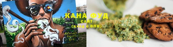 сатива Каменка