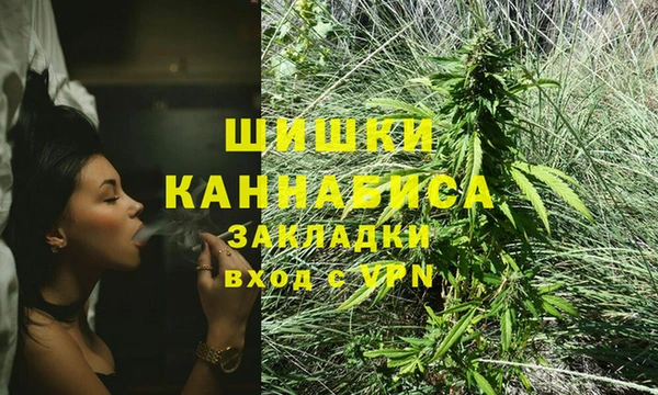 сатива Каменка