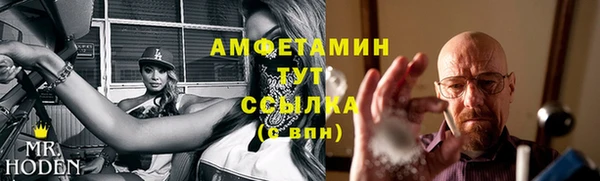 сатива Каменка