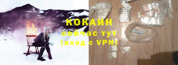 сатива Каменка