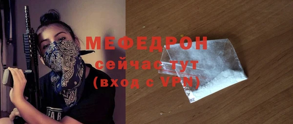 сатива Каменка