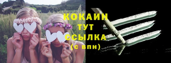 сатива Каменск-Шахтинский