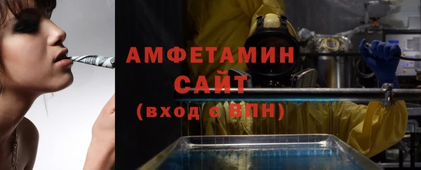 сатива Каменск-Шахтинский