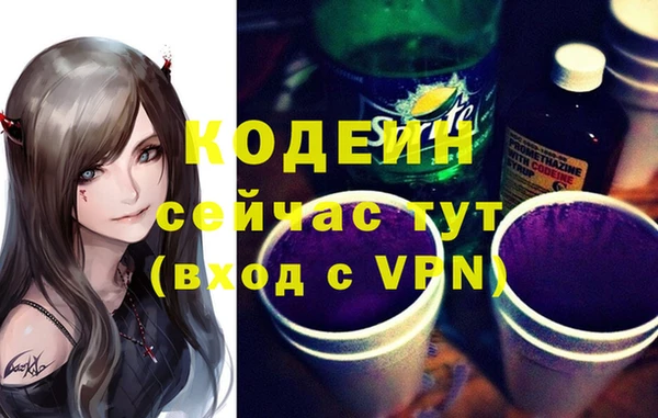 сатива Каменка