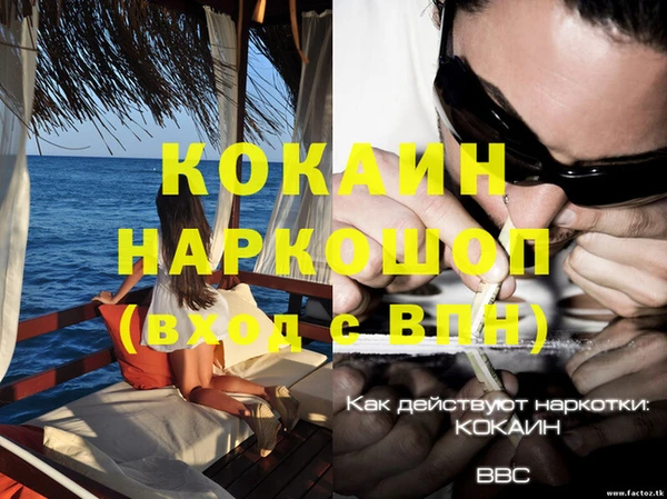 сатива Каменск-Шахтинский