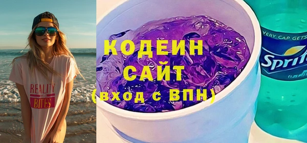 сатива Каменка