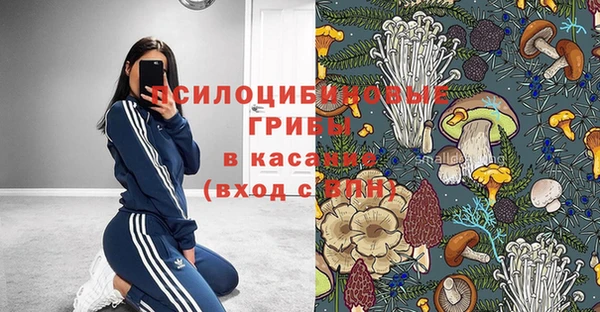 сатива Каменка