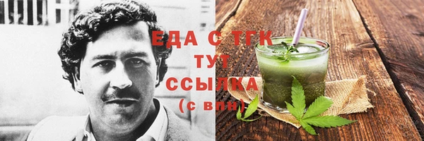 сатива Каменка