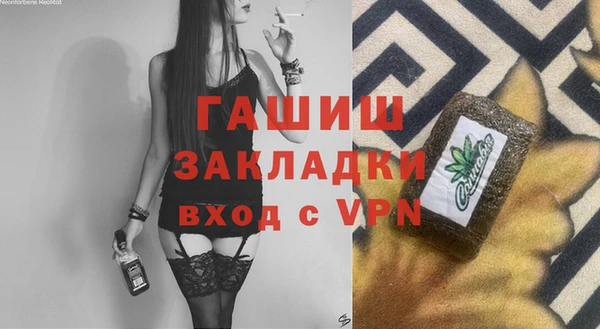 сатива Каменка