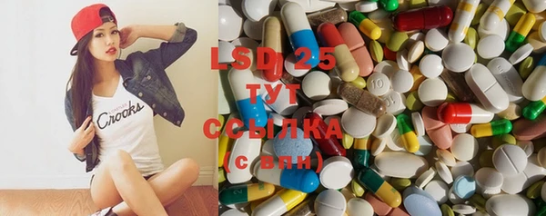 сатива Каменка