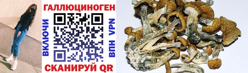 Галлюциногенные грибы Magic Shrooms Кашира
