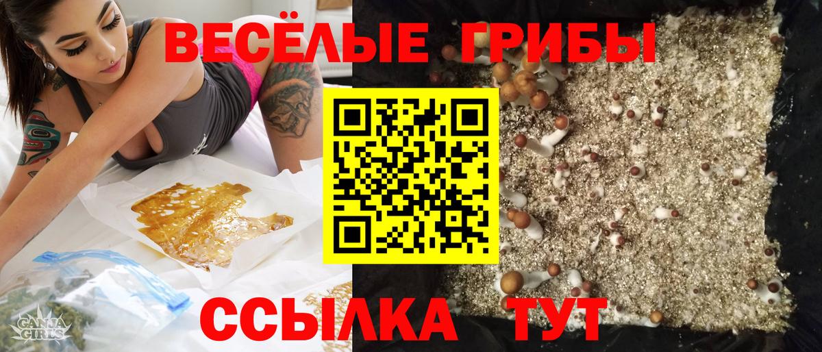 Галлюциногенные грибы прущие грибы Кашира