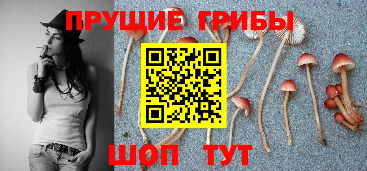 Галлюциногенные грибы Cubensis  Вход с VPN  Кашира 